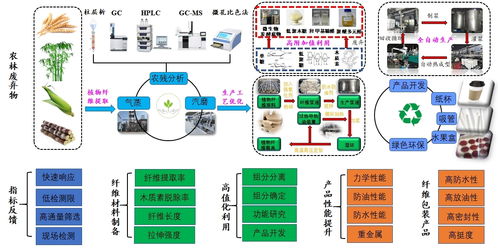科技小分队助力企业开发可降解食品包装材料
