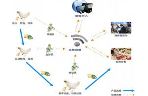 赛亿科技 以网络技术开发为基石，驱动物联网解决方案创新
