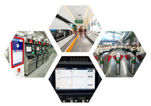 光华绽放 一位清华博士返乡创业，以网络技术赋能万物互联