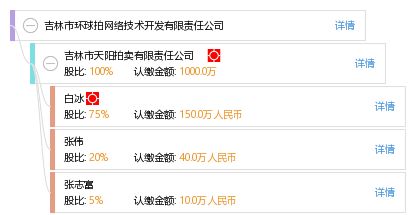 网络技术开发的创新路径与实践——以吉林市环球拍网络技术开发有限责任公司为例
